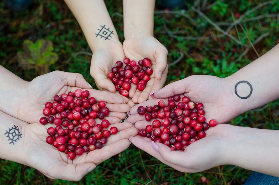 Cranberry for potential