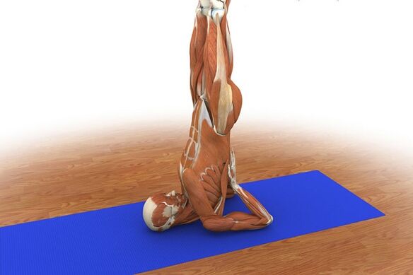 Train for Birch potential