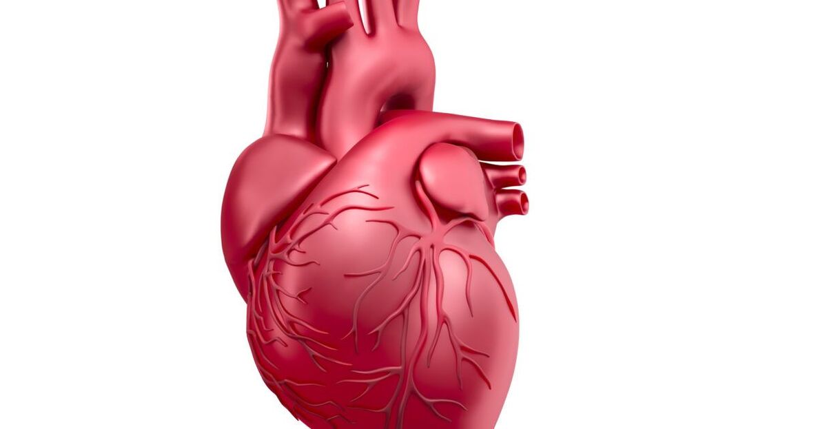 reduces the potential for heart disease
